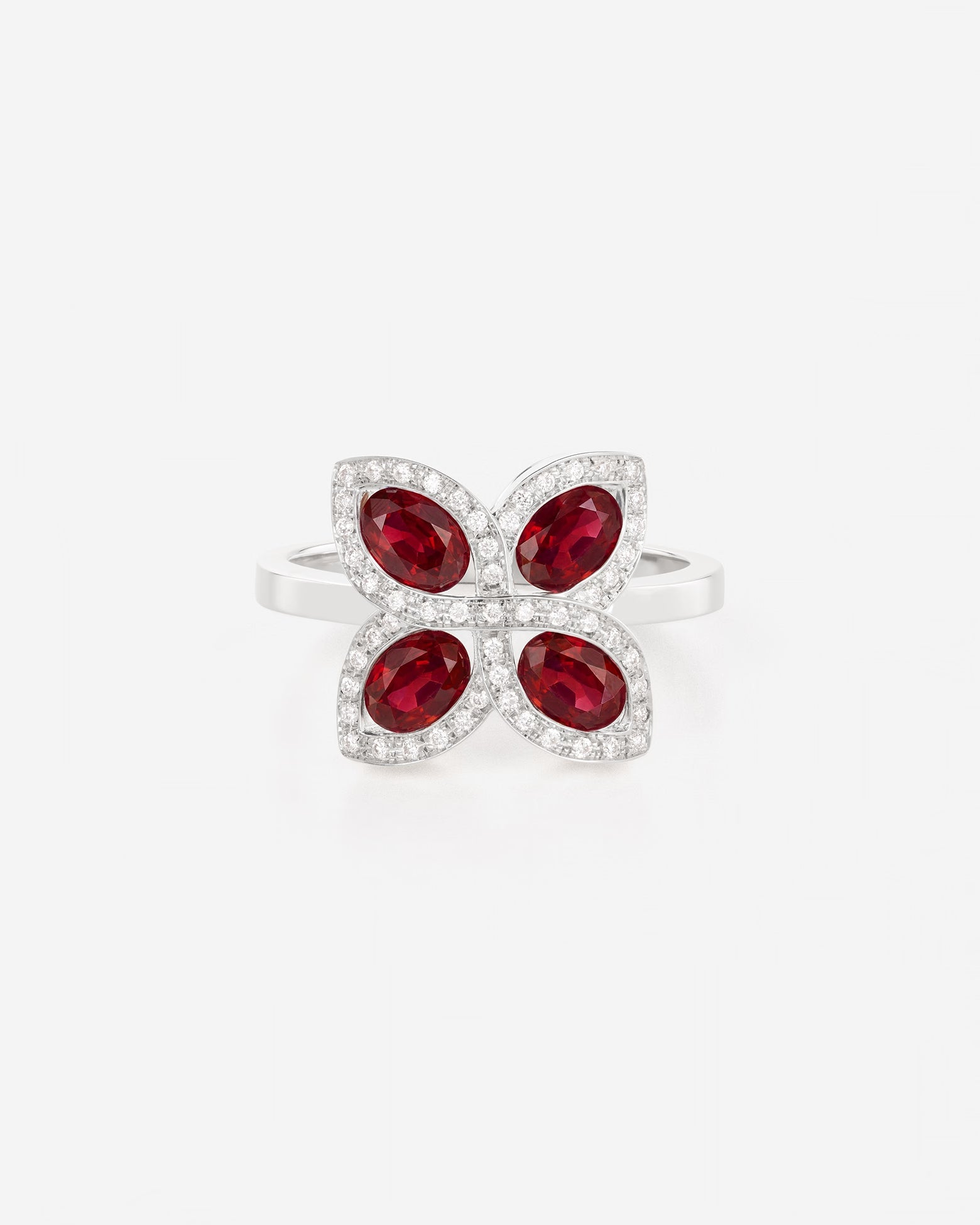 Rubis | Or blanc 750 ‰