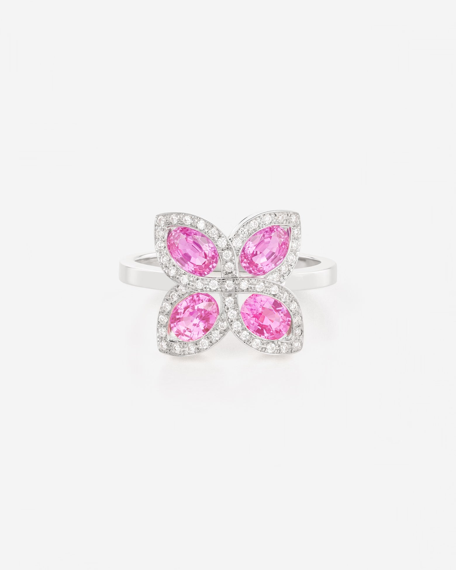 Saphir Rose | Or blanc 750 ‰