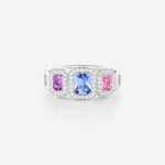 Saphirs bleu, rose et violet | Or blanc 750 ‰
